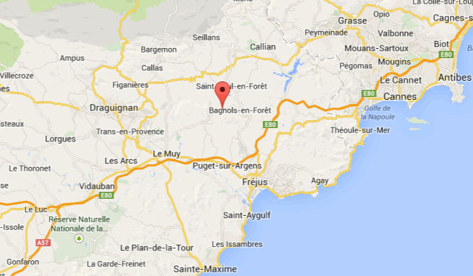 Plantation des bulbes de safran